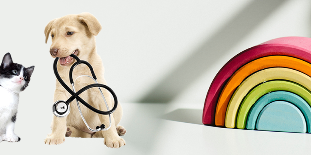 Clínica Veterinária 24 horas